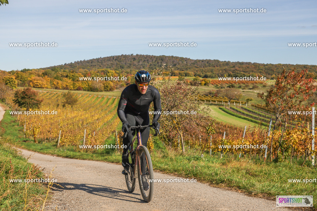 007A6672 | PANNONIA GRAVEL 2025 #pannoniagravel #gravel #offroad #onroad #burgenland #neusiedlersee #nrm #neusiedlerseeradmarathon #yourpictrs #sportshot_your_pictrs @Sportshot Photography www.sportshot.de