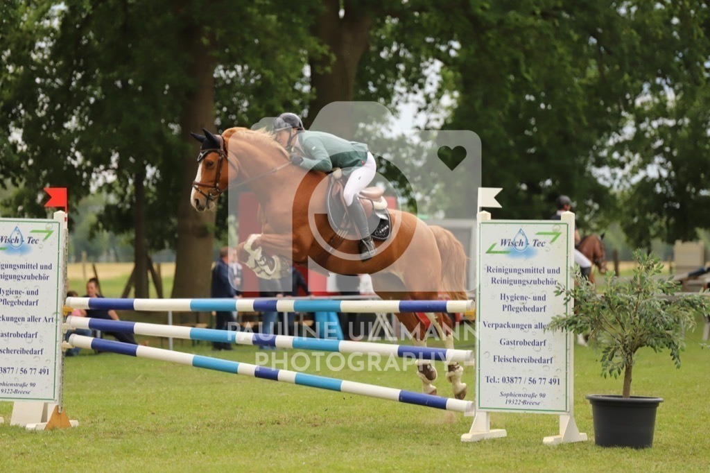 IMG_7587 | Pauline Ullmann Photography - Realisiert mit Pictrs.com