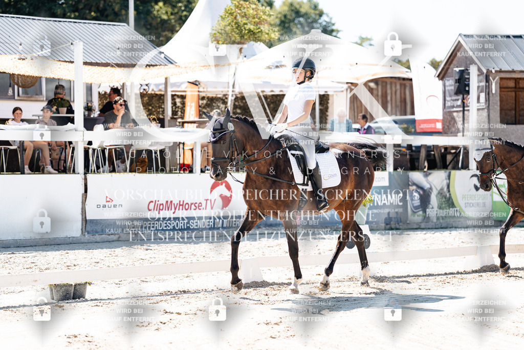 CK902249 | Turnierfotografie Pferdefotografie Trier Rheinland-Pfalz Pferdesport Reitsport Tierfotografie Sportfotografie Pferdevideo Pferdevideografie Equestrianvideography equestrianphotography  - Realisiert mit Pictrs.com