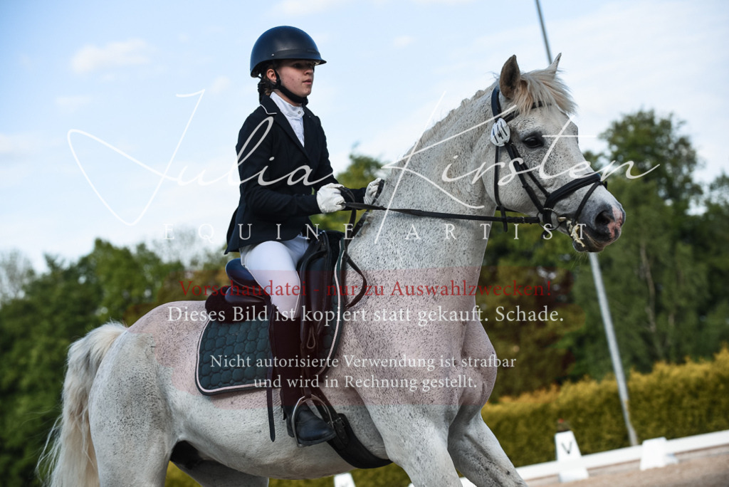 20230518_JK-Röhrsdorf-12-1245 | Pferde- und Turnierfotografie in Westsachsen. Pferdeportraits, Auftragszeichnungen und intuitive Kunst.
