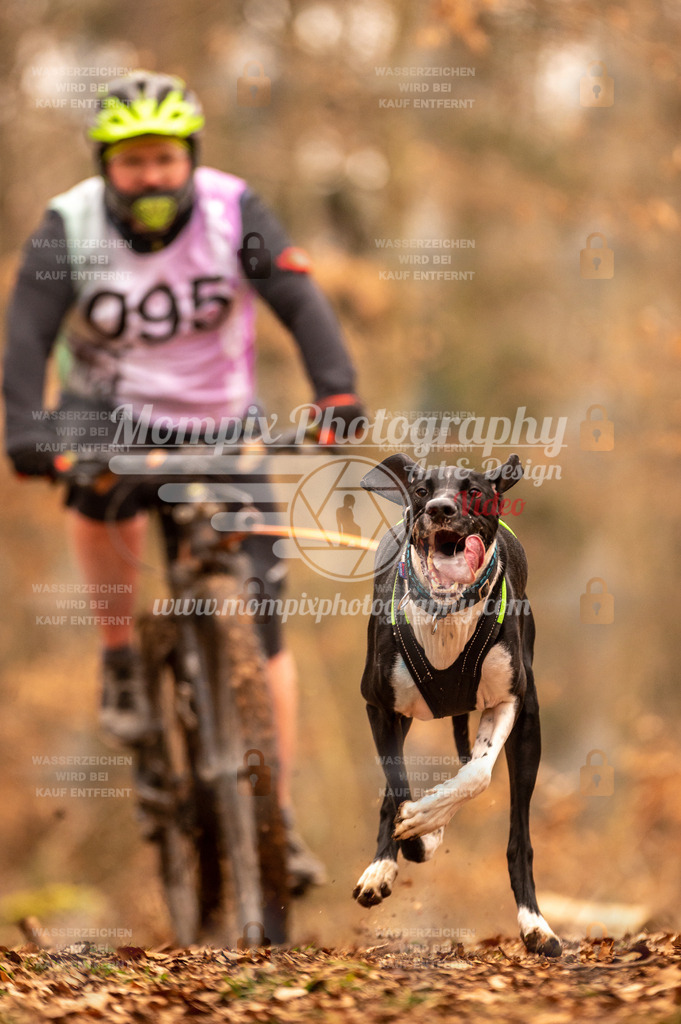 AKM_ST_2023_SAM_Bike-97 | PayLife