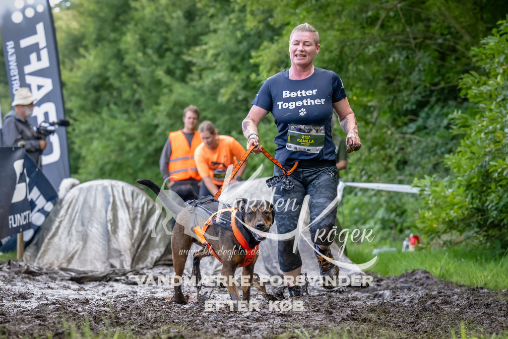 1153_ZZ90115-Bearbeitet | kk-dogfotos