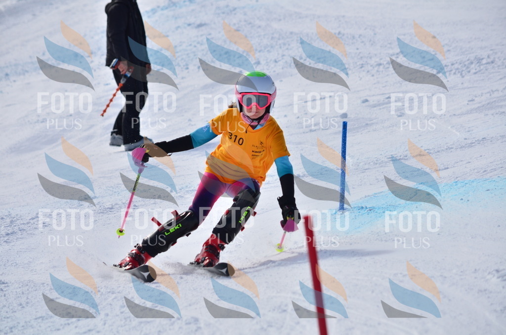 C9521 | holidayphoto