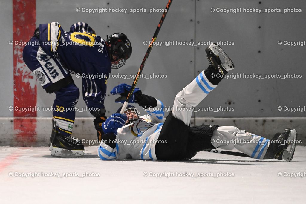 Wildcats Paternion vs. Unicorns Steindorf | #30 Windbichler Barbara WILDCATS PATERNION, #13 Fischer-Teuffenbach Signe UNICORNS STEINDORF, Wildcats Paternion vs. Unicorns Steindorf, Wildcats Paternion vs. Unicorns Steindorf am 02.01.2026 in Paternion (Eislaufplatz Paternion), Austria, (Photo by Bernd Stefan)