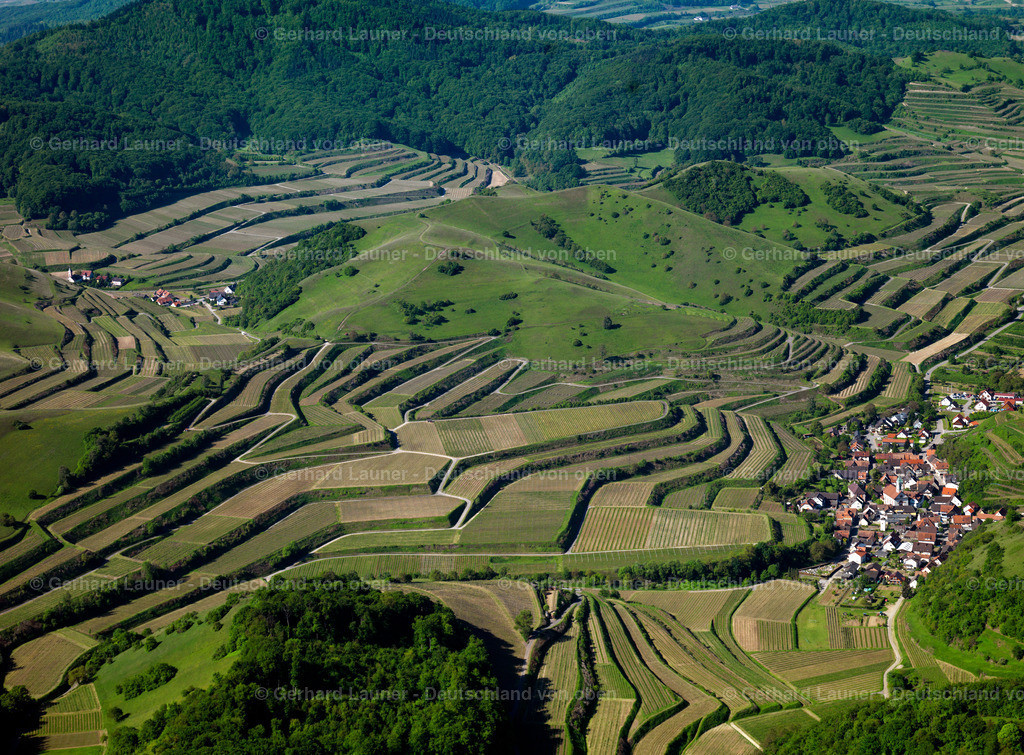 3096251 | Terrassenweinberge, Kaiserstuhl bei Schelingen