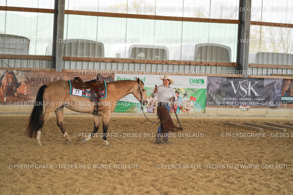 DSC02316 | Pferdegrafie