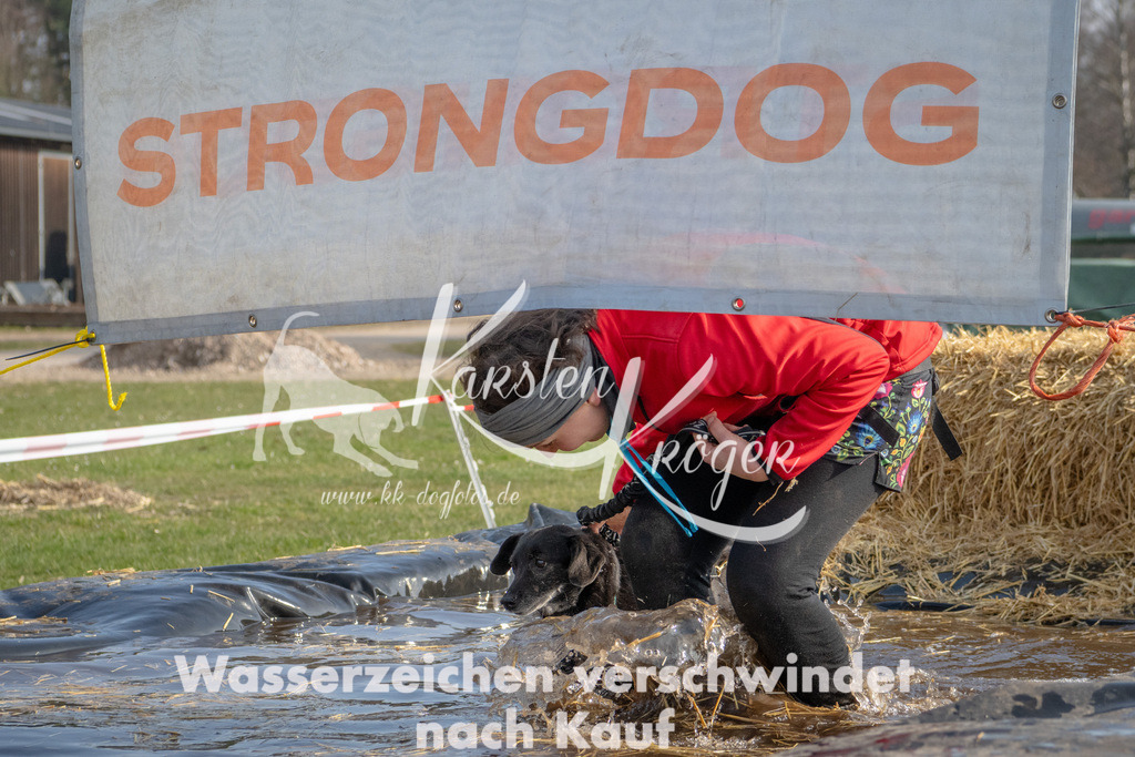 _ZZ90491 | kk-dogfotos