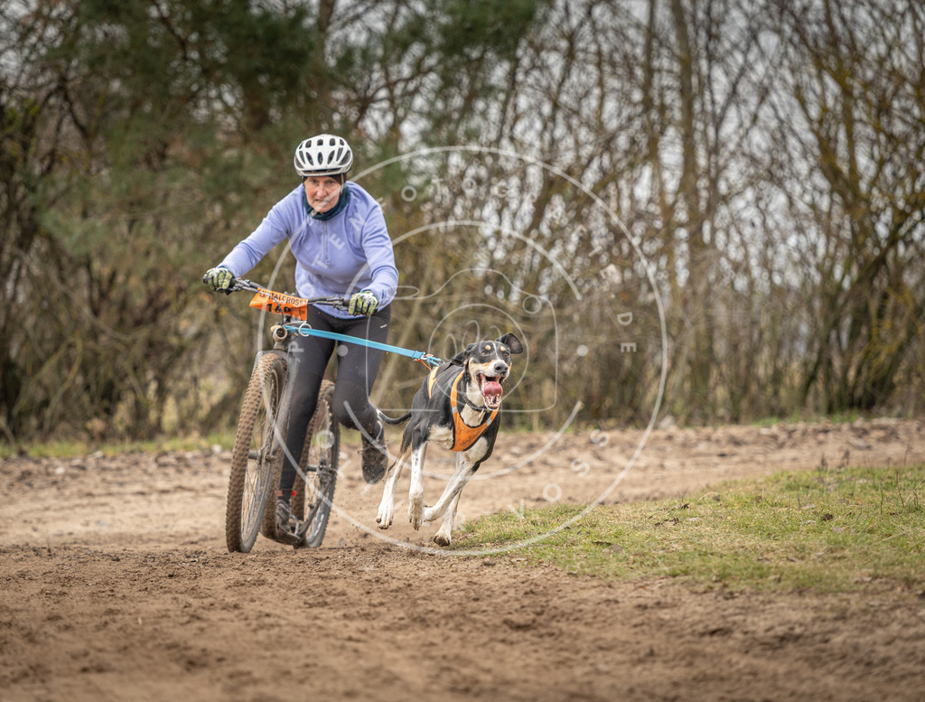 Pfotenfotografie_DV3A9634 | Hundefotografie, Tierfotograf, Pfotenfotografie, Fotoshooting Hund, Hunde Portrait, Hundesport, Hundeportraits, Heideshooting, Hunde, Sportfotograf, Hundefotograf, Turnierhundsport, THS,  - Realisiert mit Pictrs.com