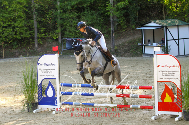 DKP42794 | Turniersportfotografie; Pferdefotografie; Dressurfotografie