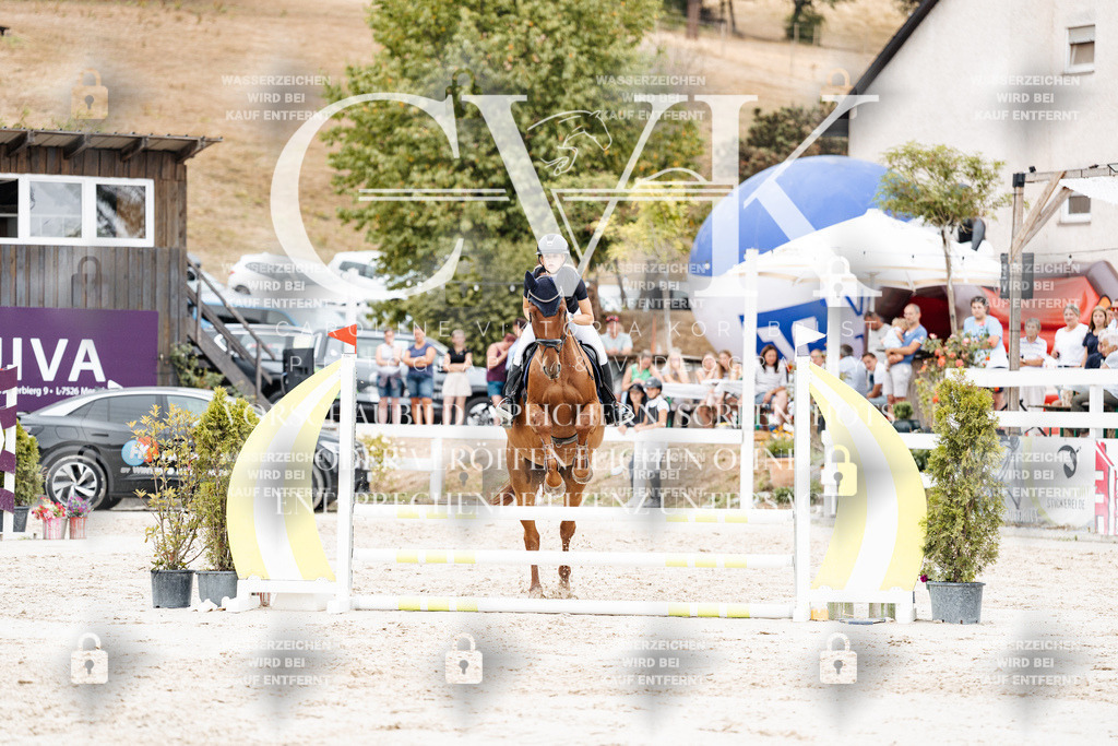CK908347 | Turnierfotografie Pferdefotografie Trier Rheinland-Pfalz Pferdesport Reitsport Tierfotografie Sportfotografie Pferdevideo Pferdevideografie Equestrianvideography equestrianphotography  - Realisiert mit Pictrs.com