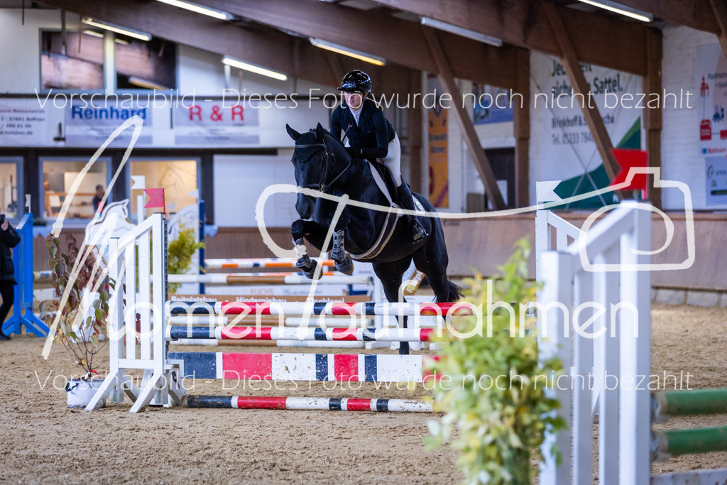 Sth-Gewöhnung-023 | MomenTaufnahmen Pferdesportfotos