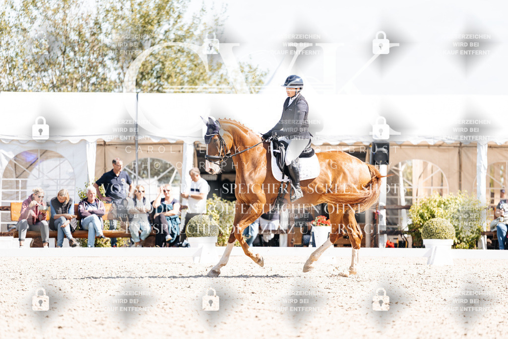 CK903212 | Turnierfotografie Pferdefotografie Trier Rheinland-Pfalz Pferdesport Reitsport Tierfotografie Sportfotografie Pferdevideo Pferdevideografie Equestrianvideography equestrianphotography  - Realisiert mit Pictrs.com