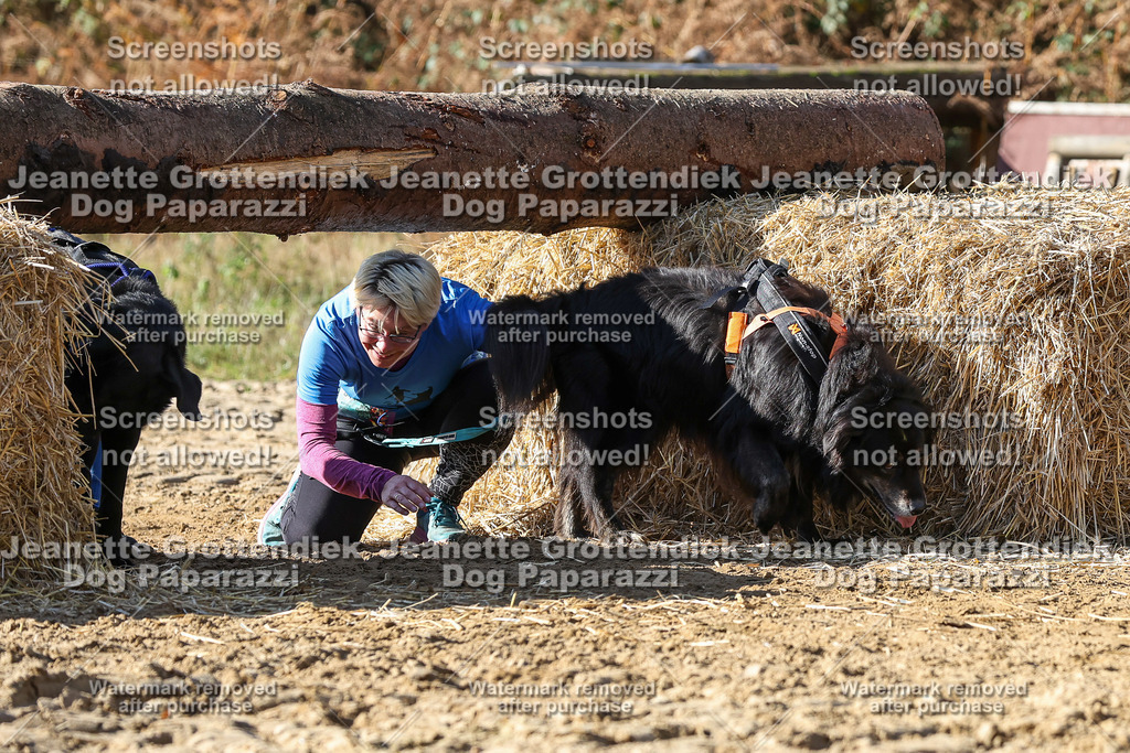 Dog Paparazzi - Strongdog 10-25-4792 | Dog Paparazzi Jeanette Grottendiek Fotografie & Videografie - Realisiert mit Pictrs.com