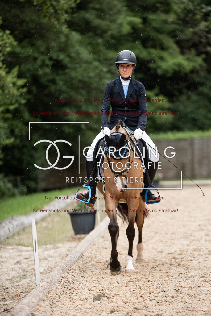 DSC_3101 | Turnierfotografin Carolin Gieschke,Reitsport Turnierfotografie Carolin G Fotografie | Turnierfotos aus Kirchheim/Teck, Esslingen, Stuttgart und dem Bodenseekreis