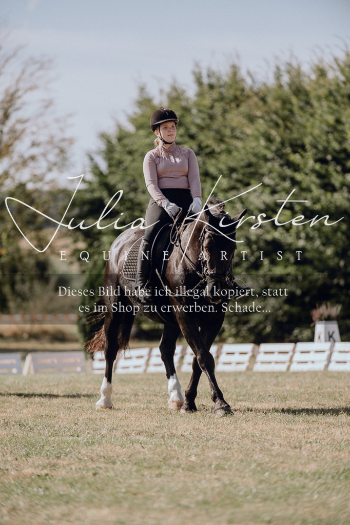 DSC_7099 | Pferde- und Turnierfotografie in Westsachsen. Pferdeportraits, Auftragszeichnungen und intuitive Kunst.