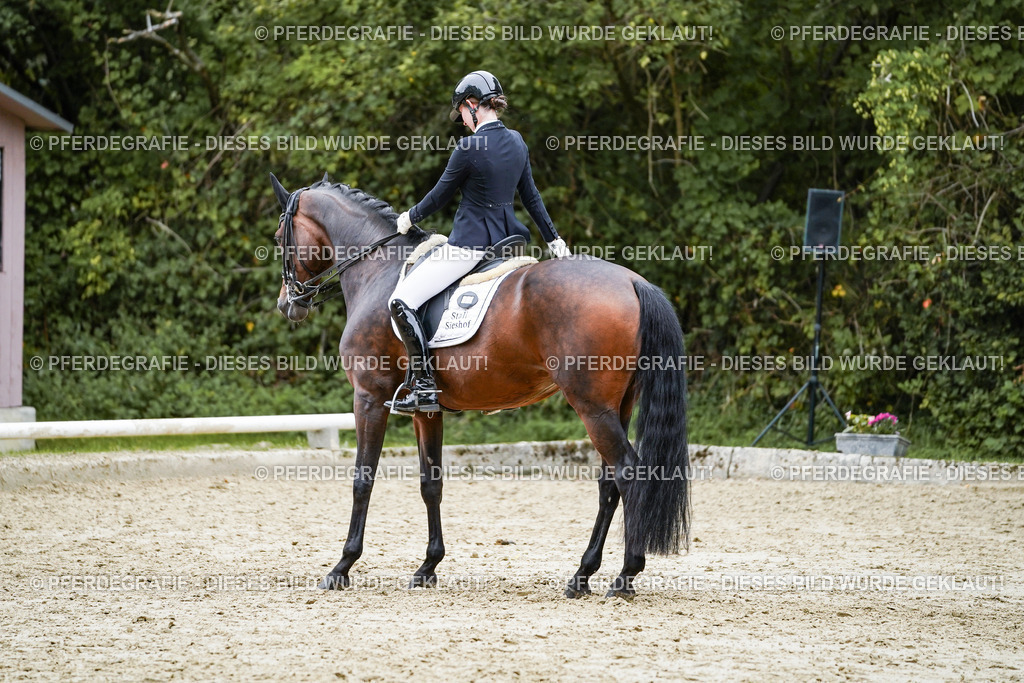 DSC02048 | Pferdegrafie