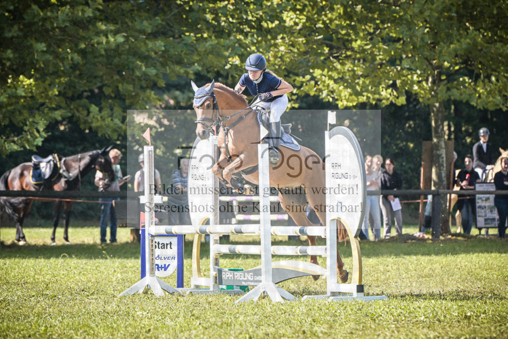 DOS_1042 | Entdecke hochwertige Reitturnierfotos von Foto Oger. Professionell, emotional und authentisch – jetzt Lieblingsmomente im Shop bestellen.Deutschlandweite Turnierfotografie. - Realisiert mit Pictrs.com