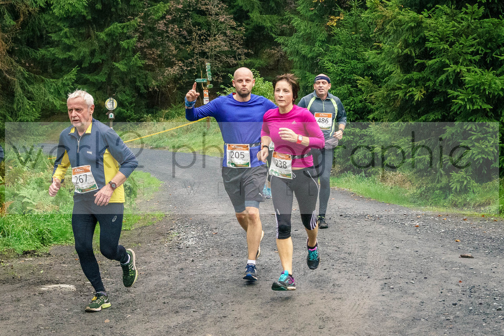 Herbstlauf 2017 | Neuhaus/Rwg. - Masserberg am 1. Oktober 2017