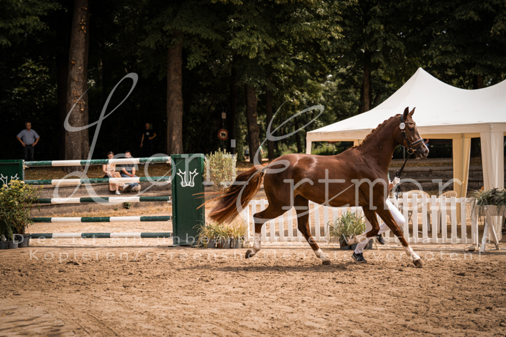 3.Fr00092 | Leoni Ertmer Photography - Realisiert mit Pictrs.com