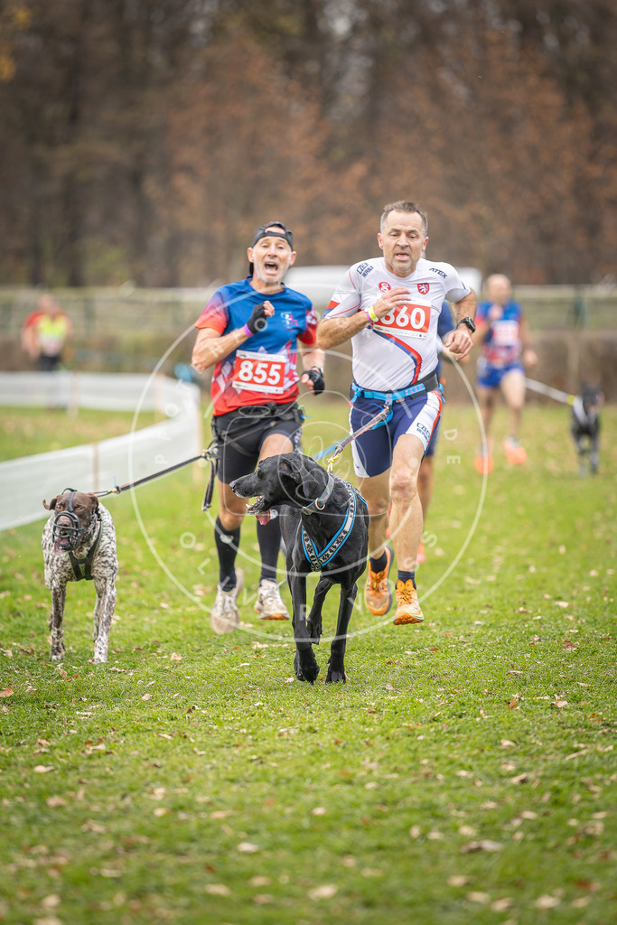 CaniXpix_DV3A6616 | Hundefotografie, Tierfotograf, Pfotenfotografie, Fotoshooting Hund, Hunde Portrait, Hundesport, Hundeportraits, Heideshooting, Hunde, Sportfotograf, Hundefotograf, Turnierhundsport, THS,  - Realisiert mit Pictrs.com
