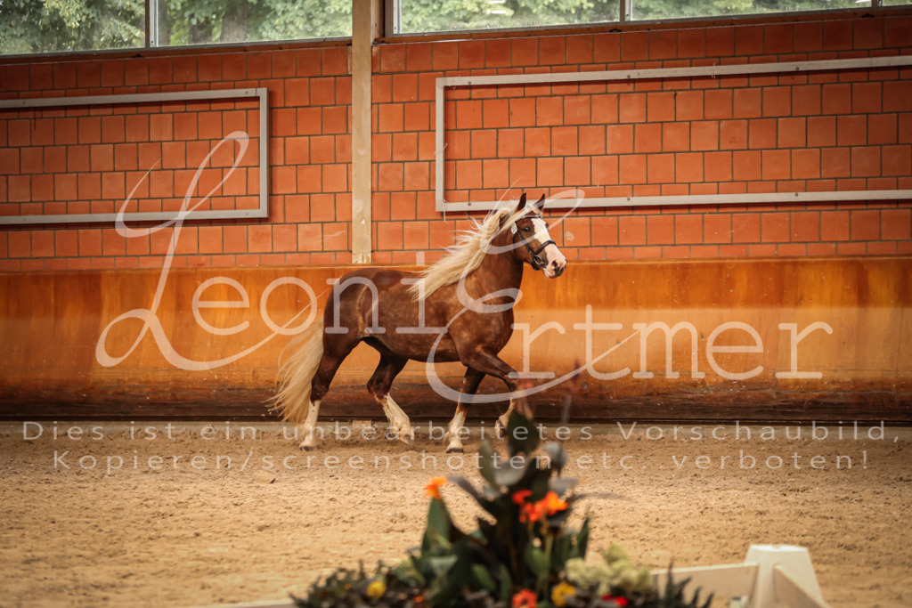SaFL00474 | Leoni Ertmer Photography - Realisiert mit Pictrs.com