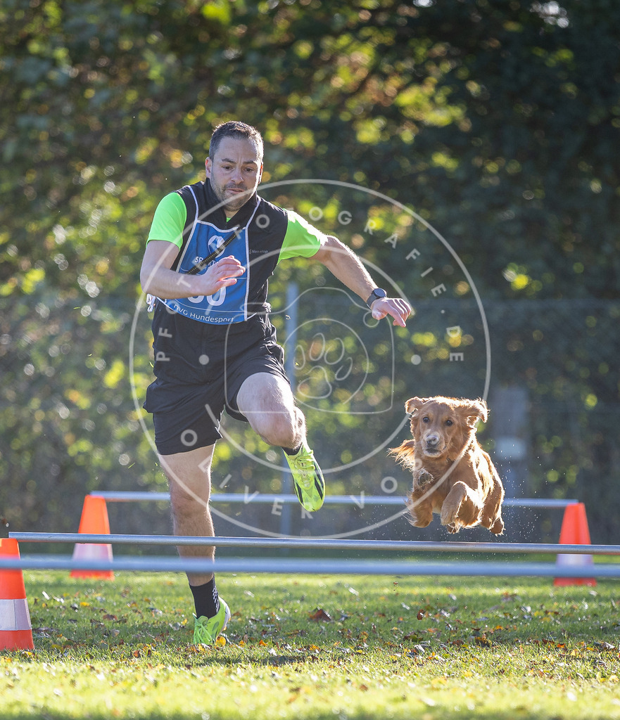 Pfotenfotografie.de_DV3A3154 | Hundefotografie, Tierfotograf, Pfotenfotografie, Fotoshooting Hund, Hunde Portrait, Hundesport, Hundeportraits, Heideshooting, Hunde, Sportfotograf, Hundefotograf, Turnierhundsport, THS, canicross - Realisiert mit Pictrs.com