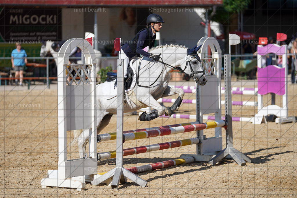 20240824-FAH07440 | Thierhaupten 2024, Bayerisches Landesponyturnier, Turnierbilder, Ponybilder, Turnierfotografen Bayern, Fotoagentur Herrmann