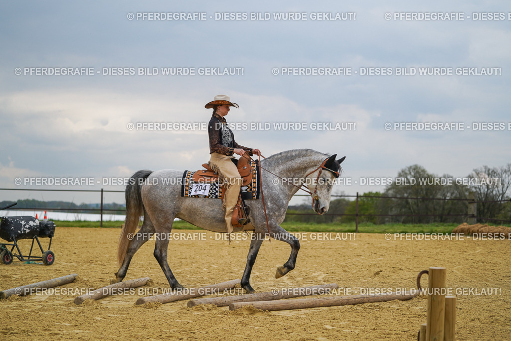 DSC07370 | Pferdegrafie