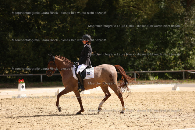 HG9A1794 | laurarinckfotografie - Realisiert mit Pictrs.com