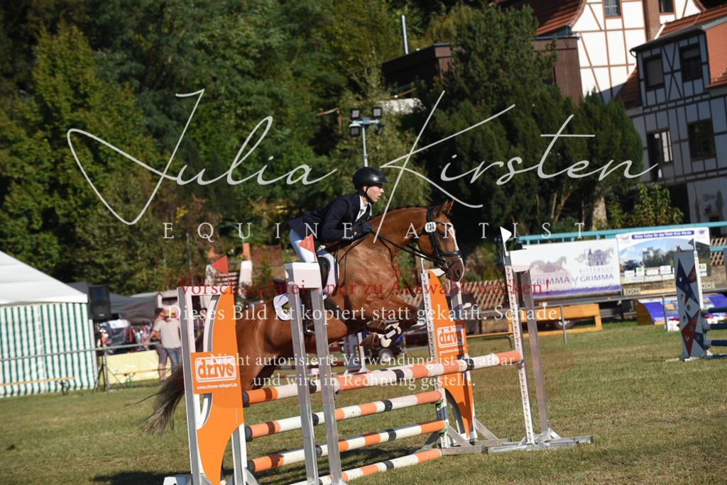 DSC_5238 | Pferde- und Turnierfotografie in Westsachsen. Pferdeportraits, Auftragszeichnungen und intuitive Kunst.