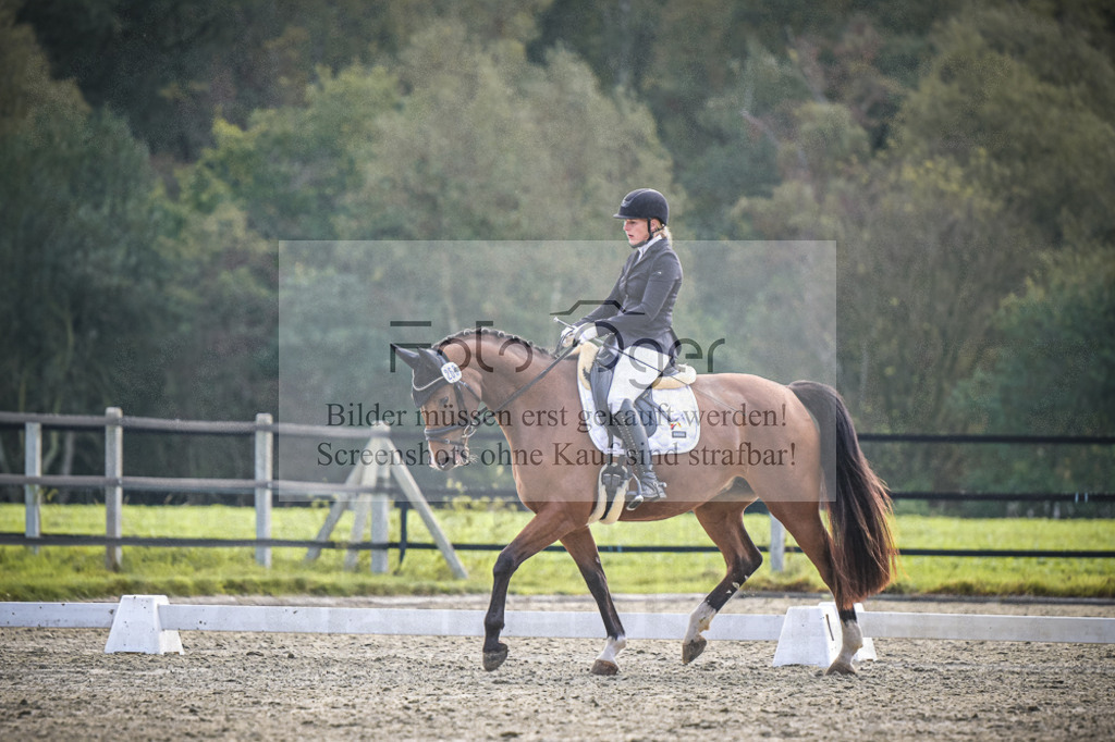 DOS_B191 | Entdecke hochwertige Reitturnierfotos von Foto Oger. Professionell, emotional und authentisch – jetzt Lieblingsmomente im Shop bestellen.Deutschlandweite Turnierfotografie. - Realisiert mit Pictrs.com