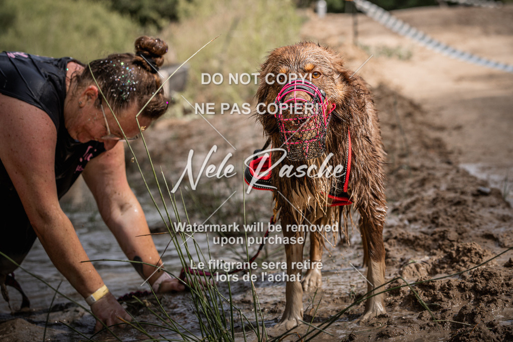 nelerasche_Hoope2026_Sa10-1030_112 | nelerasche