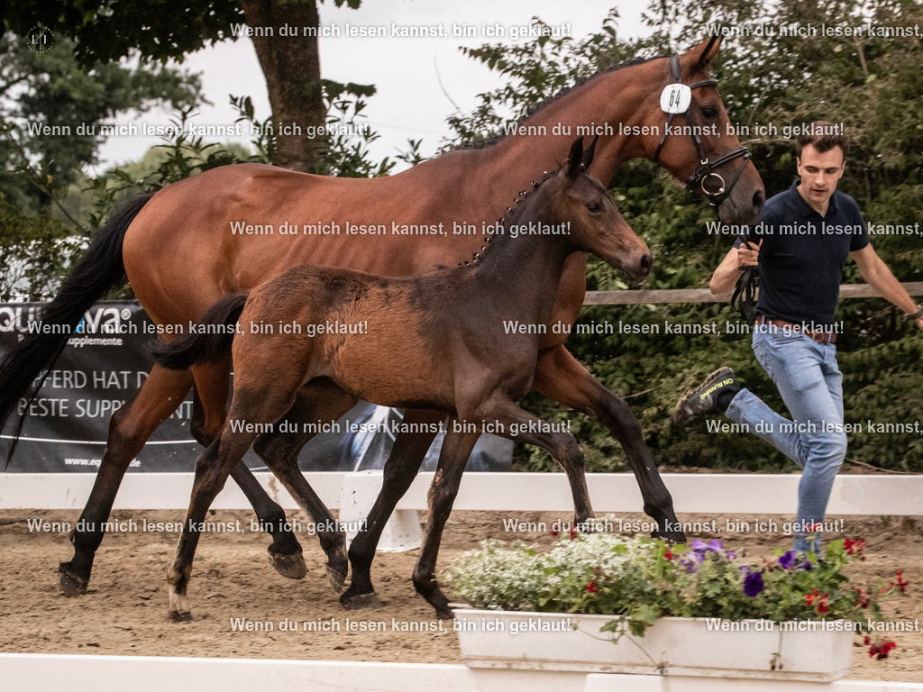 A10I6581 | photographylinaismer - Realisiert mit Pictrs.com