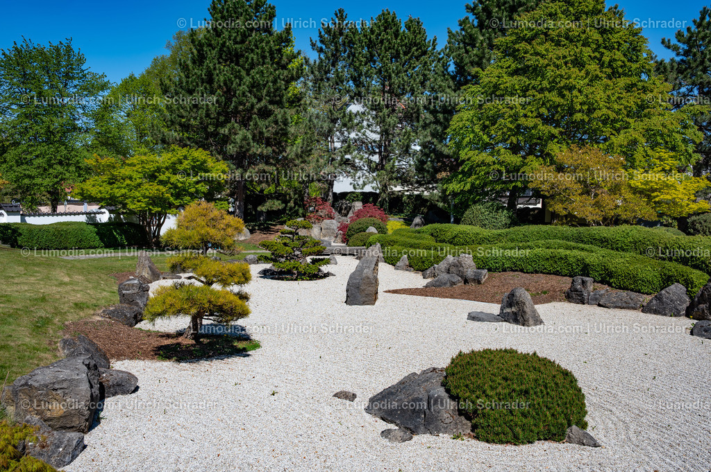 10049-14031 - Japanischer Garten in Bad Langensalza | Stockfoto und Bilderpool mit Bildmaterial aus Deutschland, dem Harz, Halberstadt, Quedlinburg, Wernigerode und weltweit. Qualitativ hochwertige und professionelle Fotos anschauen und kaufen. - Realisiert mit Pictrs.com