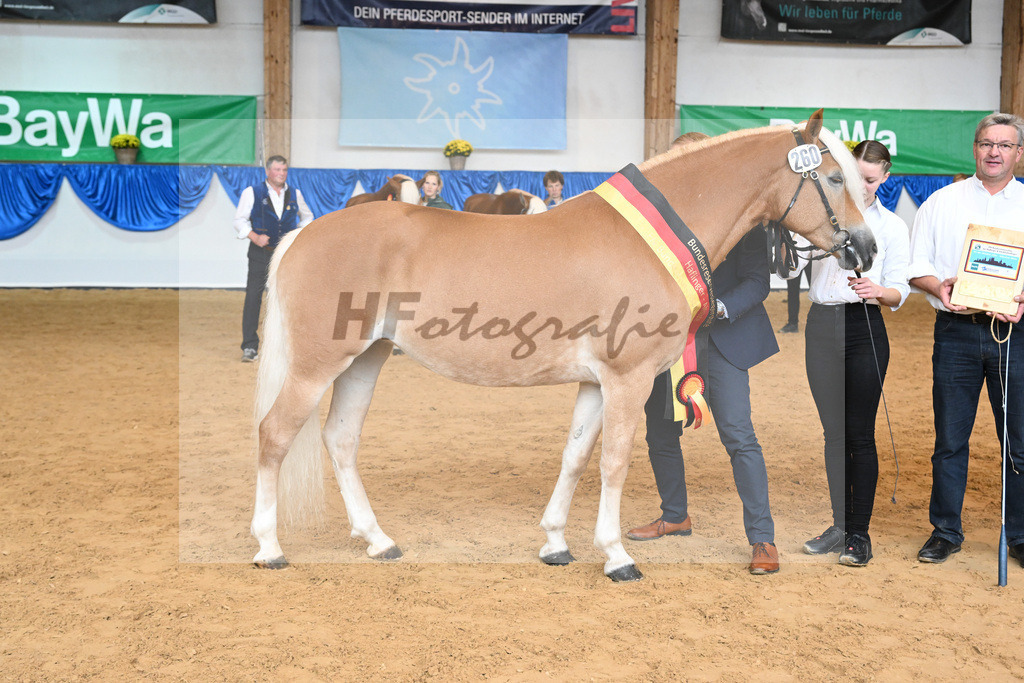 Kat-Nr. 260 Okara_Kargel_54224049 | hf-fotografie - Realisiert mit Pictrs.com