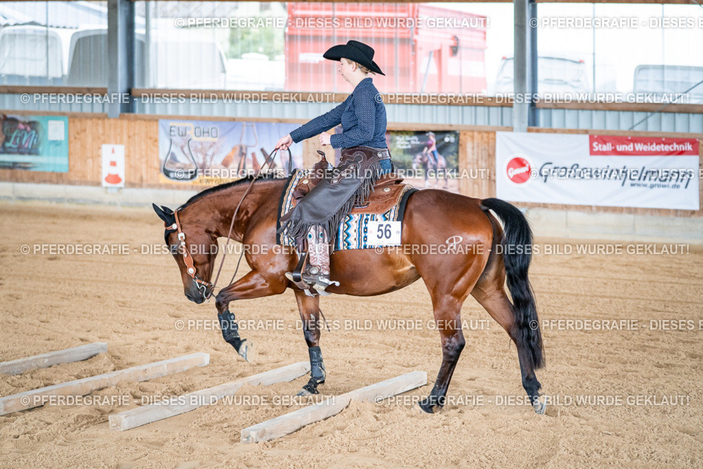 DSC08470 | Pferdegrafie