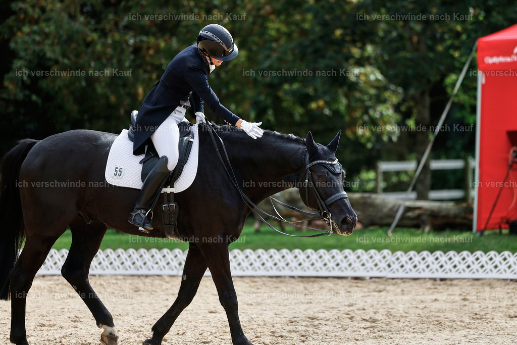 11-055-Dressur S___-StoibPH-1234 | working equitationturnier fotograf videograf stoibphotography marixx film working equitation deutschland reitsport turnierfotografie eventfotografie equestrian events