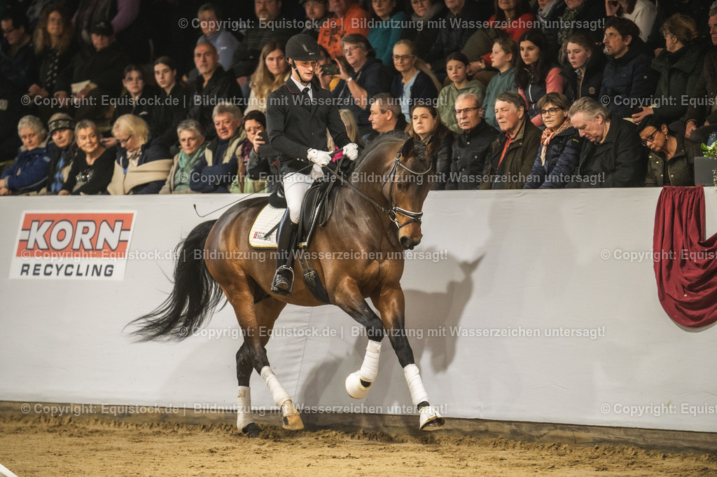 20240302_Hengstvorstellung_Marbach_TOMsPiC_0128 | equistock