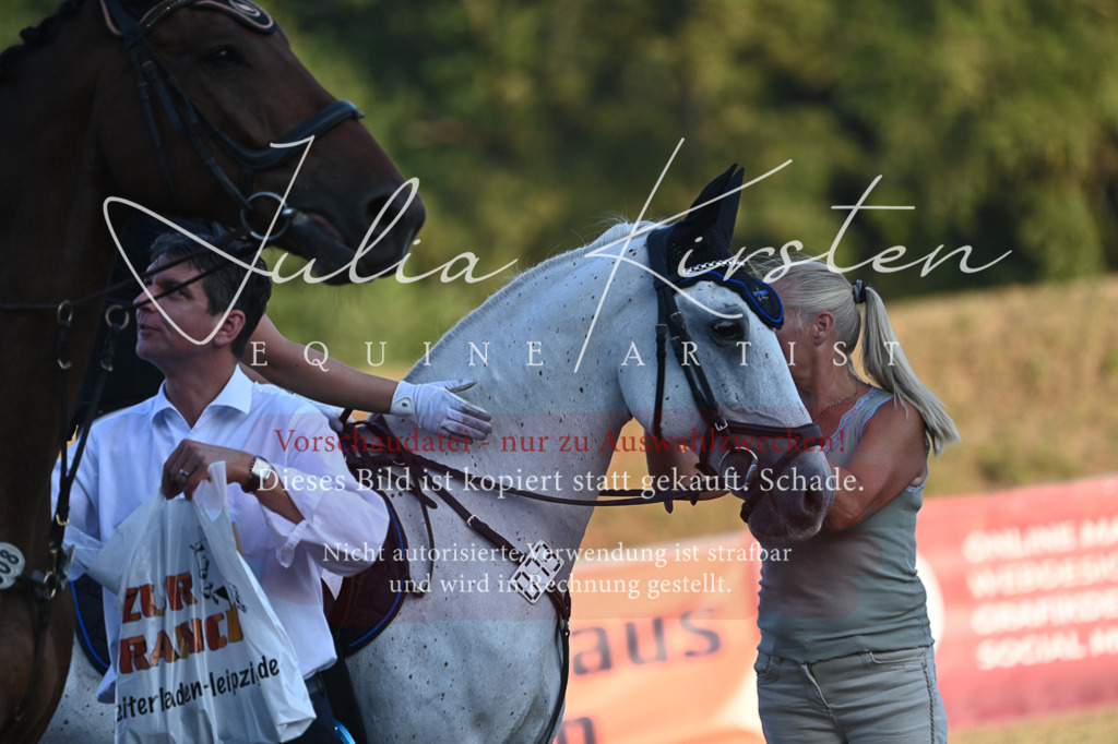 DSC_9276 | Pferde- und Turnierfotografie in Westsachsen. Pferdeportraits, Auftragszeichnungen und intuitive Kunst.