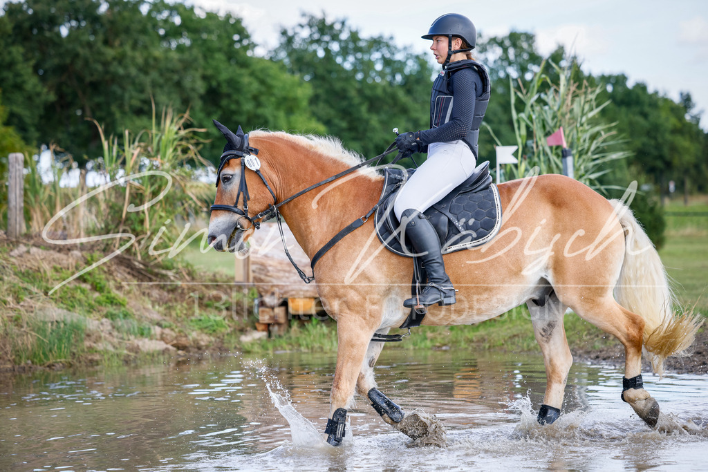 20250905-_3LI0318 | Tierfotografie Pferde, Hunde, Katzen, Haustiere.
Turnierfotografie Reitturniere, Reiten, Springreiten, Dressur in Hanau, dem Main-Kinzig-Kreis und dem Rhein-Main- Gebiet um Frankfurt