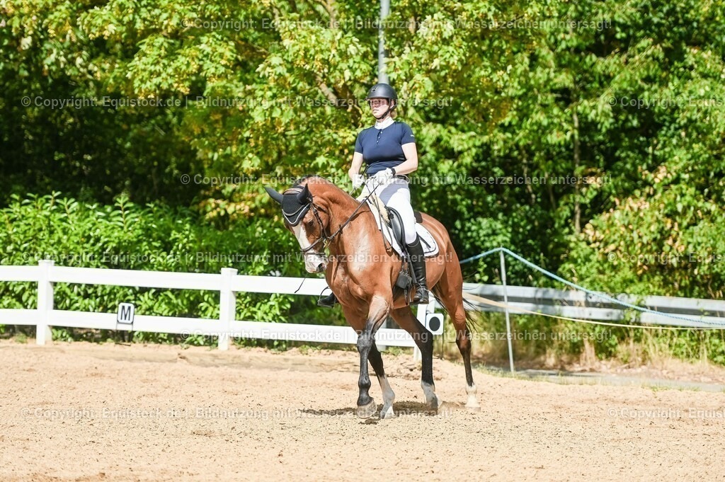 20230715_02_Dressurreiterprüfung Kl.L_0332 | equistock