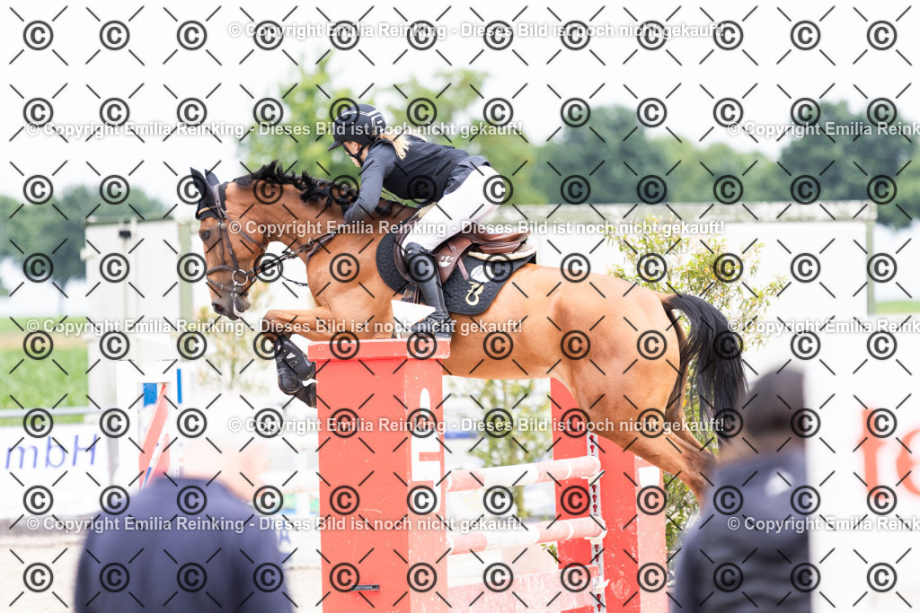 CL5A2226 | Emilia Reinking Fotografie - Realisiert mit Pictrs.com