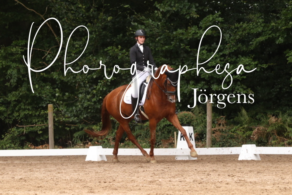 IMG_0013 | photographesa-joergens - Realisiert mit Pictrs.com