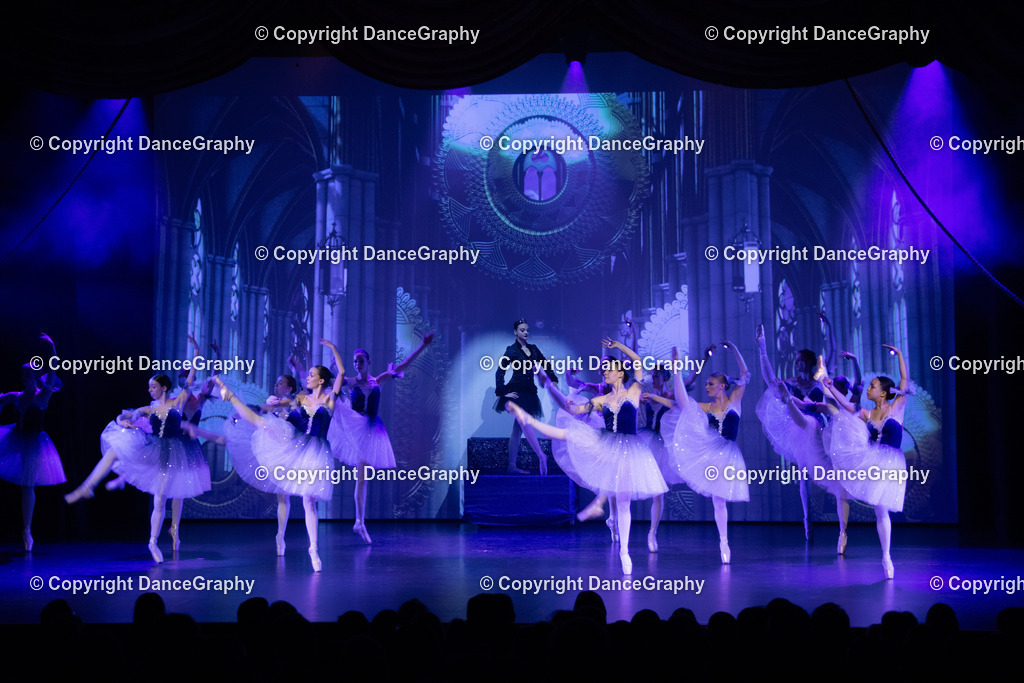 GPHY1616 | DanceGraphy - Realisiert mit Pictrs.com