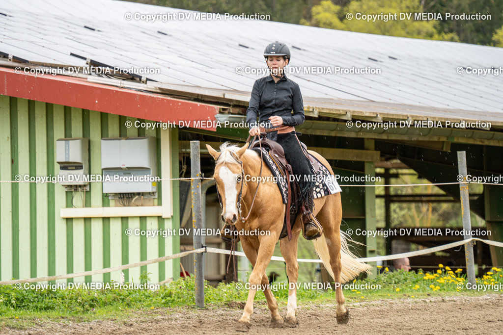 BAL00801 | dv-media-shop - Realisiert mit Pictrs.com