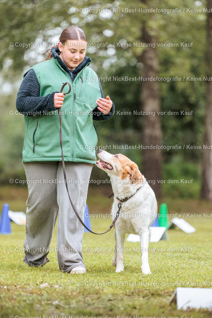 RO-Blumenthal-2026-Nickbest-Hundefotografie-4085 | Dein Hund! Dein Moment! Deine Erinnerungen! Hundefotografie in Bremen Blumenthal. Ich fange die besonderen Momente deines Vierbeiners ein – ob Indoor mit Blitzanlage oder in der freien Natur. Sicher dir dein Moment und dein Termin für eure Erinnerungen.