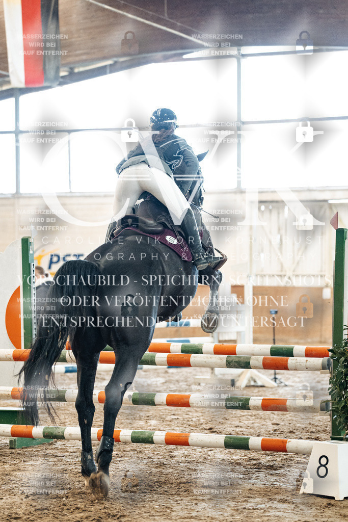 CK904710 | Turnierfotografie Pferdefotografie Trier Rheinland-Pfalz Pferdesport Reitsport Tierfotografie Sportfotografie Pferdevideo Pferdevideografie Equestrianvideography equestrianphotography  - Realisiert mit Pictrs.com