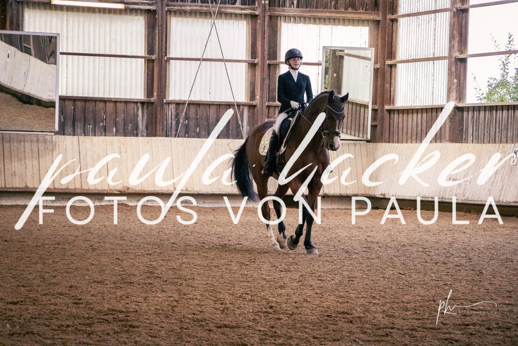 IMG_2007 | Erleben Sie dynamische Sport- und emotionale Tierfotografie in Süddeutschland mit Fotos von Paula. Spezialisiert auf Pferde- und Hundefotografie sowie Sportevents. Kontaktieren Sie mich für einzigartige und ausdrucksstarke Bilder Ihrer besonderen Momente. - Realisiert mit Pictrs.com