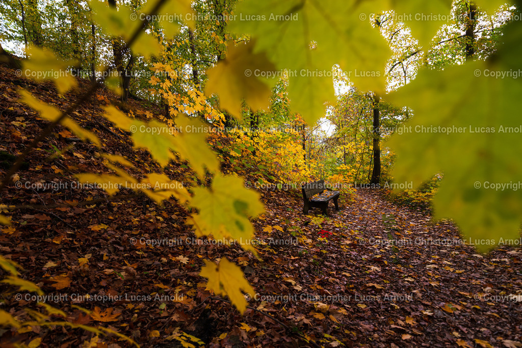 010 - Oktober | bildkomponist - Realisiert mit Pictrs.com