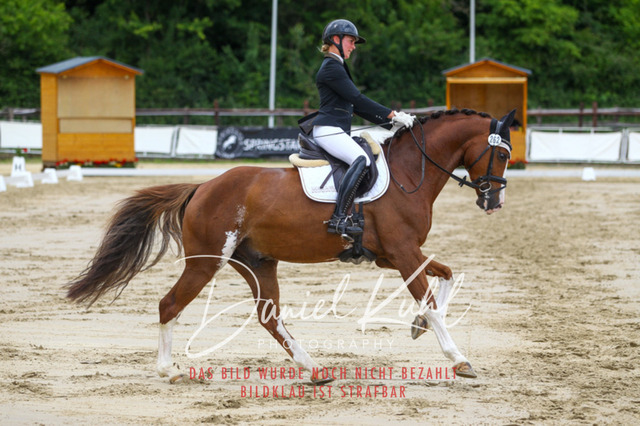 DKP46310 | Turniersportfotografie; Pferdefotografie; Dressurfotografie